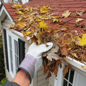 cleaning up leaves in gutters